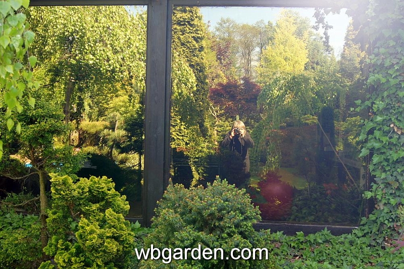 wbgarden spring 75.JPG